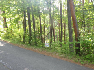 長野県諏訪郡富士見町立沢広原の売地の画像