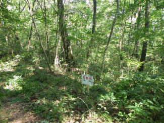 栃木県那須郡那須町大字寺子乙の売地の画像