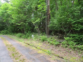 滋賀県高島市安曇川町長尾の売地の画像