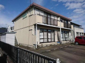 シテイハイムフェザントの画像