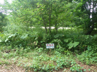 北海道亀田郡七飯町字軍川の売地の画像