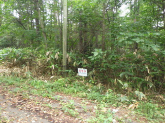 北海道亀田郡七飯町字軍川の売地の画像