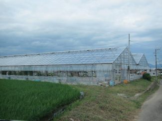 松山市上野町の売地の画像