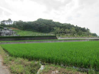 松山市上野町の売地の画像