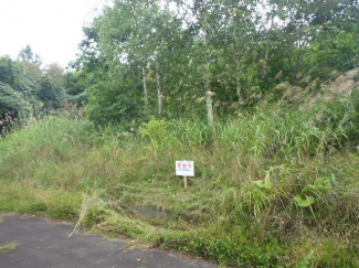 北海道亀田郡七飯町字仁山の売地の画像