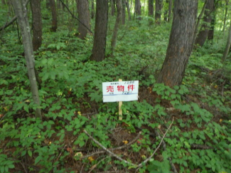 北海道虻田郡倶知安町字山田の売地の画像