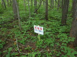 北海道虻田郡倶知安町字山田の売地の画像