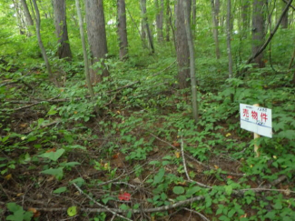 北海道虻田郡倶知安町字山田の売地の画像