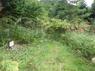 北海道亀田郡七飯町字峠下の売地の画像