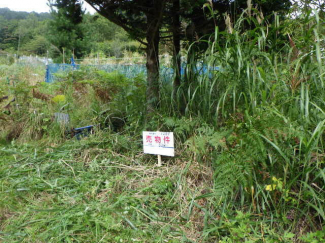 北海道亀田郡七飯町字峠下の売地の画像