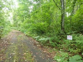 北海道虻田郡倶知安町字山田の売地の画像