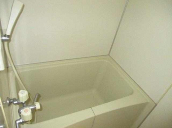 翼の画像