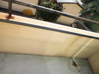 翼の画像