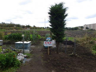 北海道亀田郡七飯町鳴川４丁目の売地の画像