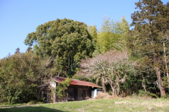 大沢新 　売土地の画像