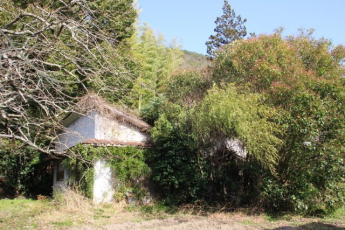 大沢新 　売土地の画像