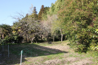 大沢新 　売土地の画像