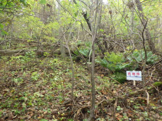 北海道茅部郡鹿部町字鹿部の売地の画像