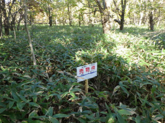 北海道千歳市上長都の売地の画像