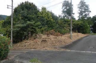 兵庫県丹波市市島町上竹田の画像