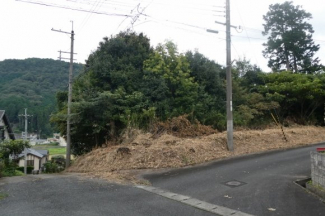 兵庫県丹波市市島町上竹田の画像