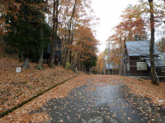 岐阜県高山市荘川町中野の売地の画像