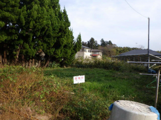 茨城県鹿嶋市大字林の売地の画像