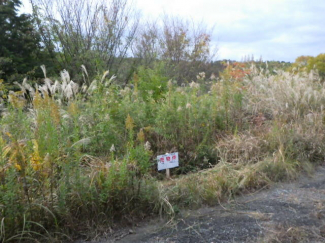 静岡県三島市富士見台の売地の画像