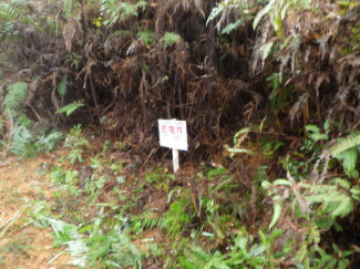 福岡県糟屋郡久山町大字山田の売地の画像