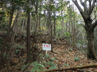 福岡県糟屋郡久山町大字山田の売地の画像