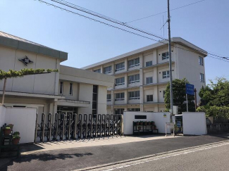 堀江小学校まで850m