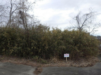 宮城県岩沼市三色吉字山神の売地の画像