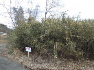 宮城県岩沼市三色吉字山神の売地の画像