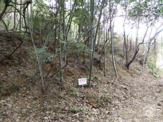 福岡県糟屋郡久山町大字山田の売地の画像