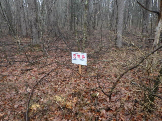 長野県木曽郡木曽町開田高原西野の売地の画像