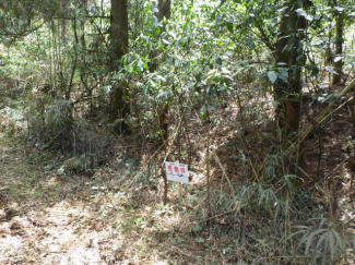 熊本県阿蘇市永草の売地の画像