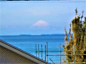 海富士山眺望住宅の画像