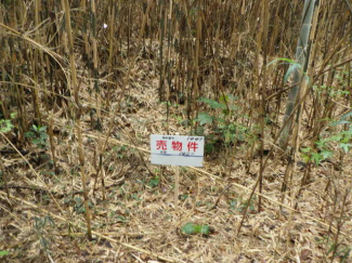 茨城県牛久市猪子町の売地の画像