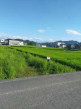 今治市桜井２丁目の売地の画像