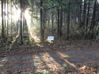 茨城県水戸市五平町の売地の画像