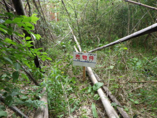 愛知県愛知郡東郷町大字春木字中ノ杁の売地の画像