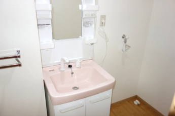 シャワー付き洗面台と洗濯機置き場
