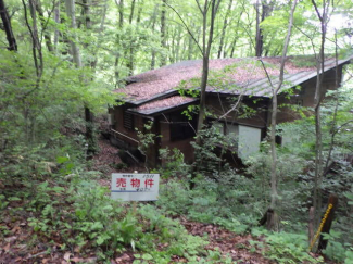 長野県北佐久郡軽井沢町大字発地の売地の画像