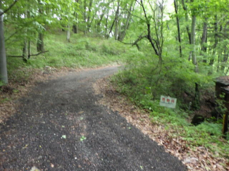 長野県北佐久郡軽井沢町大字発地の売地の画像