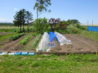 北海道北広島市富ヶ岡の売地の画像