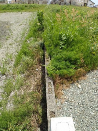 高島市安曇川町川島243坪土地の画像