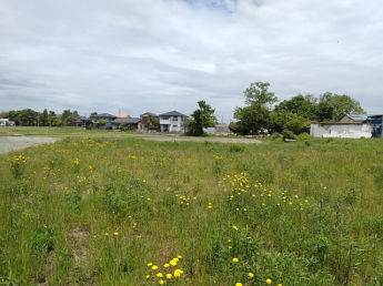 高島市安曇川町川島243坪土地の画像