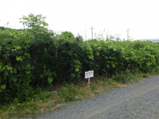 茨城県東茨城郡茨城町大字長岡の売地の画像