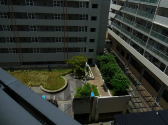 アスタ新長田タワーズコート２番館コート棟の画像