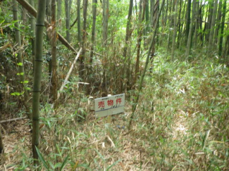 茨城県龍ケ崎市高作町の売地の画像